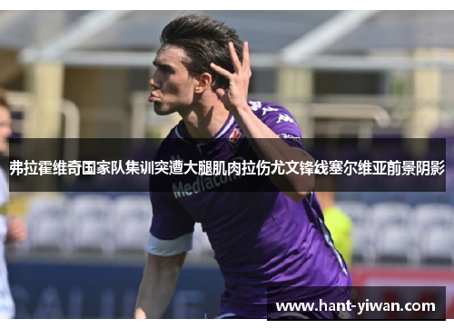 弗拉霍维奇国家队集训突遭大腿肌肉拉伤尤文锋线塞尔维亚前景阴影 弗拉霍维奇国家队集训突遭大腿肌肉拉伤尤文锋线塞尔维亚前景阴影